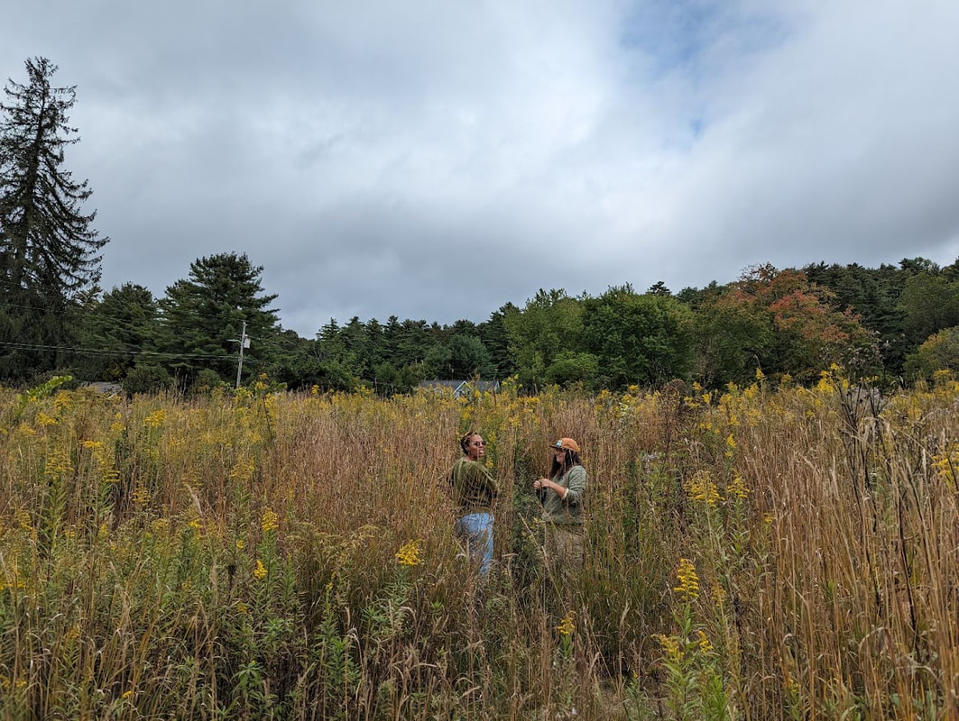 Wildflower Walk at McKinney Meadow Highlands Cashiers Health Foundation